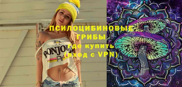 прущая мука Арсеньев
