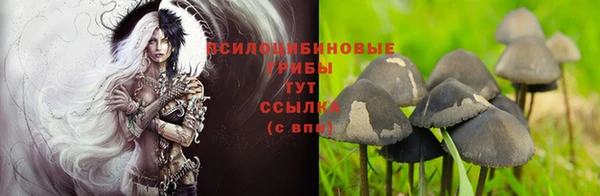 MDMA Premium VHQ Армянск