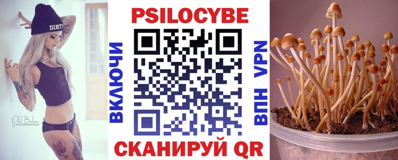 дарк нет клад  Красногорск  Галлюциногенные грибы Magic Shrooms 